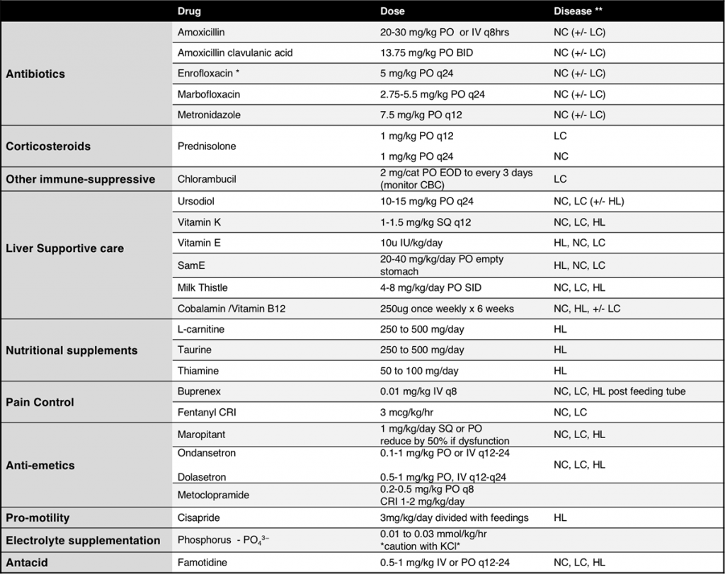 The yellow fellow: Evaluation of the icteric cat - VetBloom