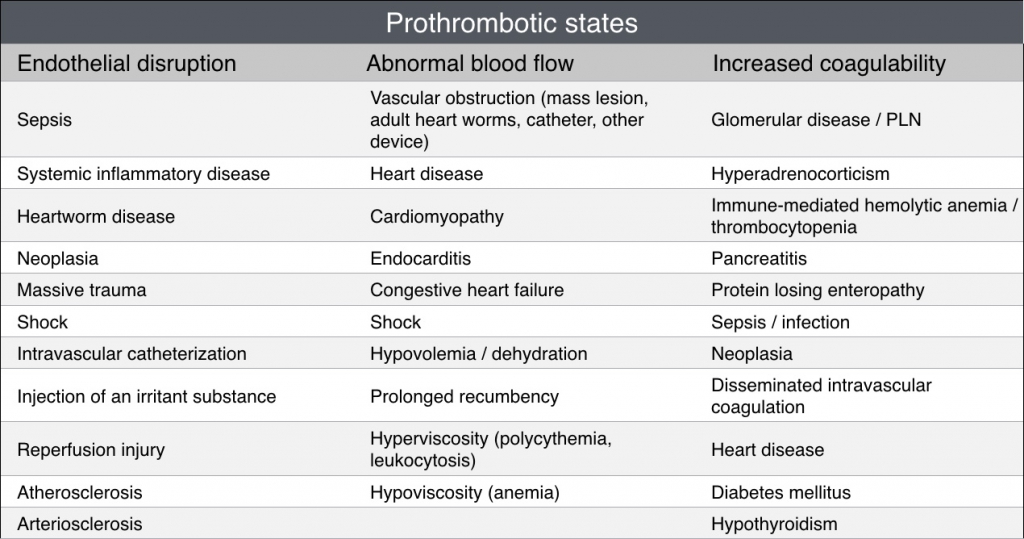 The clot thickens: Thromboembolic disease in dogs and cats - VetBloom