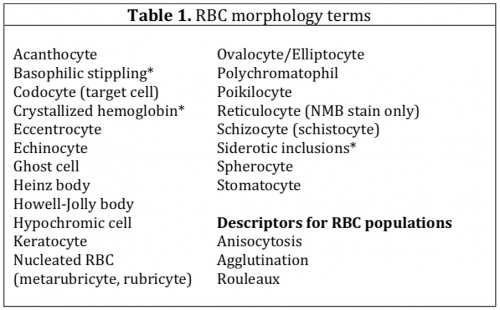 Erythrocyte Morphology Getting The Most From Your Blood Smear