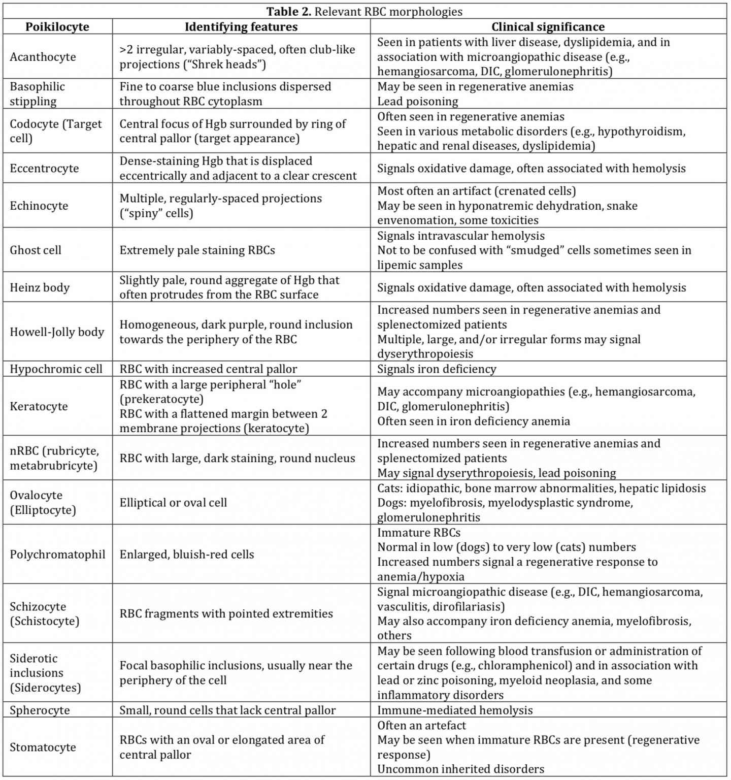 Erythrocyte morphology: Getting the most from your blood smear - VetBloom