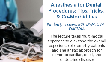 Anesthesia for Dental Procedures: Tips, Tricks, & Co-Morbidities