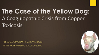 The Case of the Yellow Dog: A Coagulopathic Crisis from Copper Toxicosis