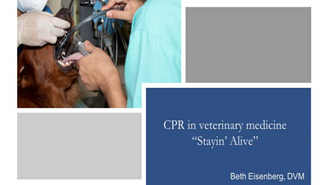 Stayin Alive!: CPR in Veterinary Medicine