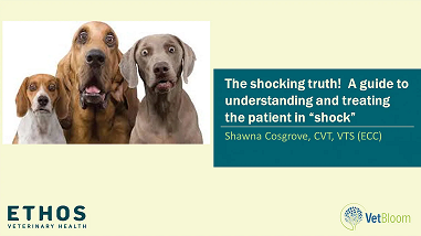The Shocking Truth! A Guide to Understanding and Treating the Patient in Shock