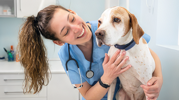 Canine Pulmonary Hypertension Diagnosis and Management