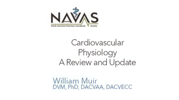 Cardiovascular Function and Anesthesia