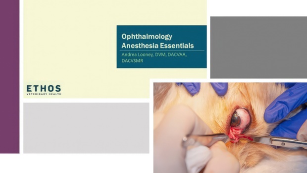 Ophthalmology Anesthesia Essentials