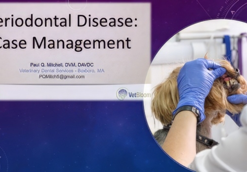 Periodontal Disease: Case Management