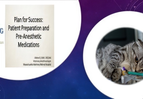 Plan for Success: Patient Preparation and Pre-Anesthetic Medications