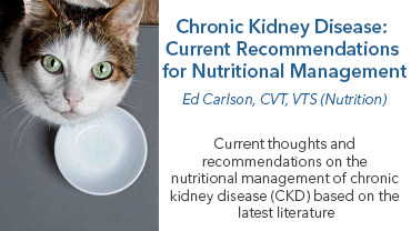 Chronic Kidney Disease: Current Recommendations for Nutritional Management