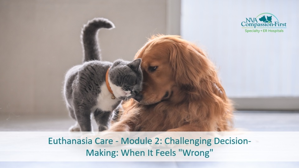 Euthanasia Care – Module 2: Challenging Decision-Making: When it Feels “Wrong”