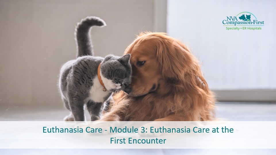 Euthanasia Care – Module 3: Euthanasia Care at the First Encounter
