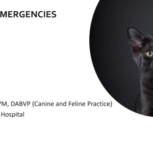 Urinary Emergencies