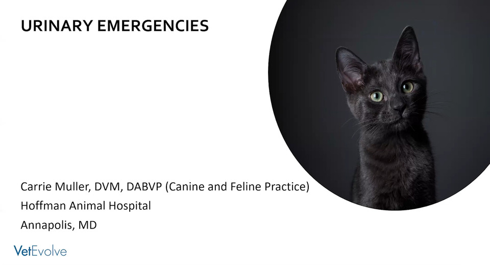 Urinary Emergencies