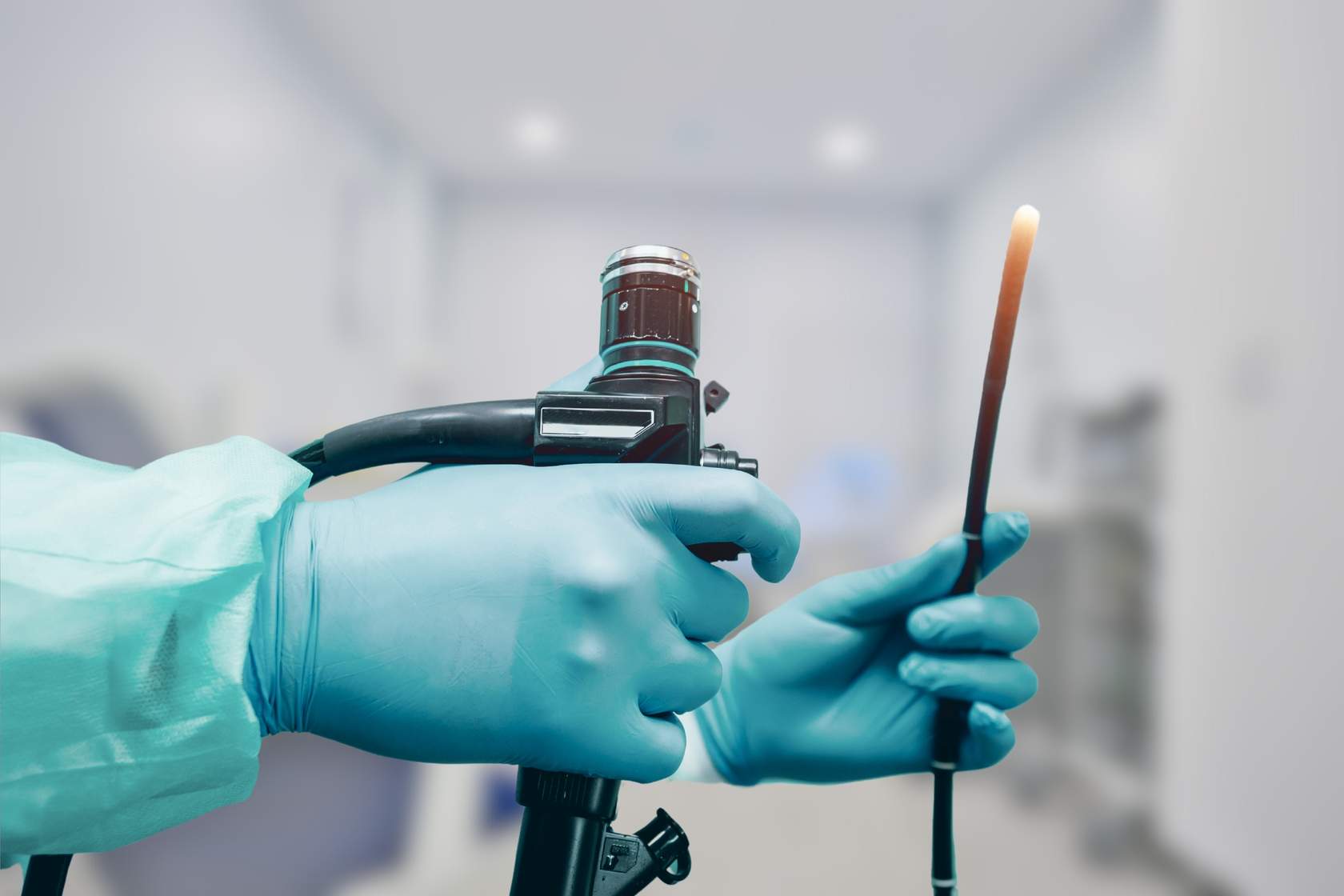 Scope It Out: Endoscopy in Veterinary Medicine