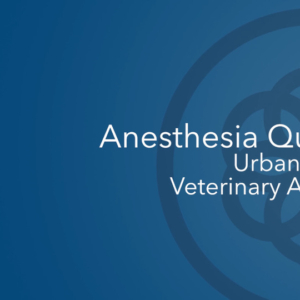 Anesthesia Quackery - Urban Myths on Veterinary Anesthesia