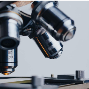 Feline Chronic Gingivostomatitis and Mesenchymal Stem Cells