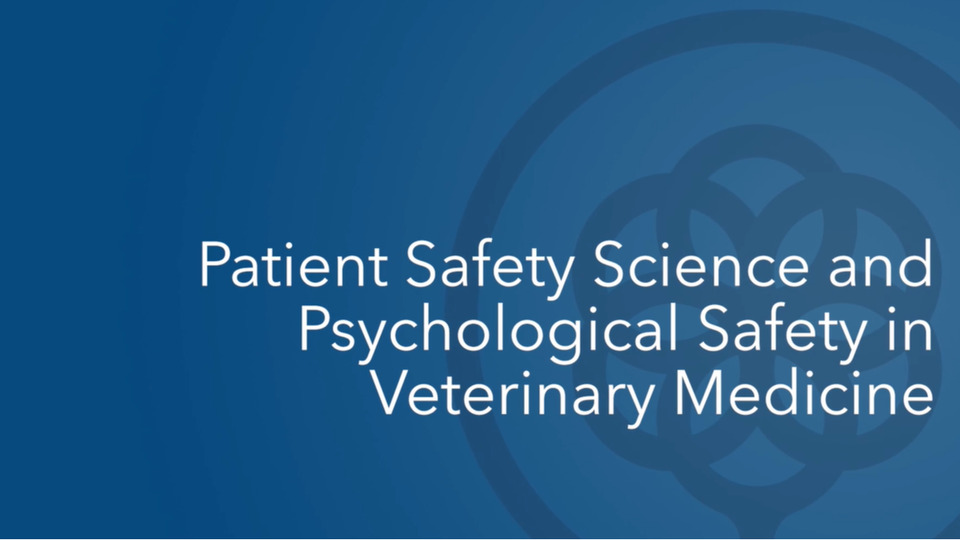 Patient Safety Science and Psychological Safety in Veterinary Medicine
