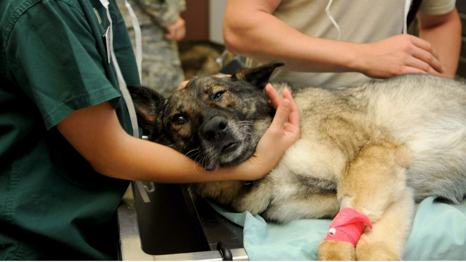 Kidney Crisis: Nephrotoxins in the ER