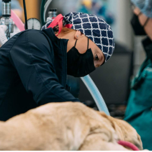 2025 Ethos Discovery Science Summit On-Demand