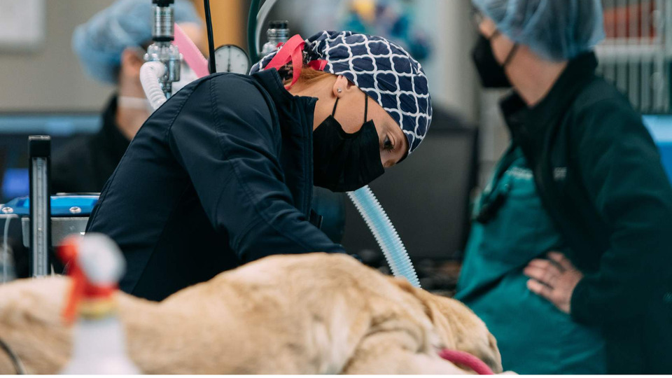 2025 Ethos Discovery Science Summit On-Demand