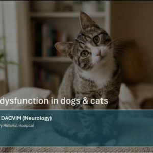 Vestibular Dysfunction in Dogs and Cats