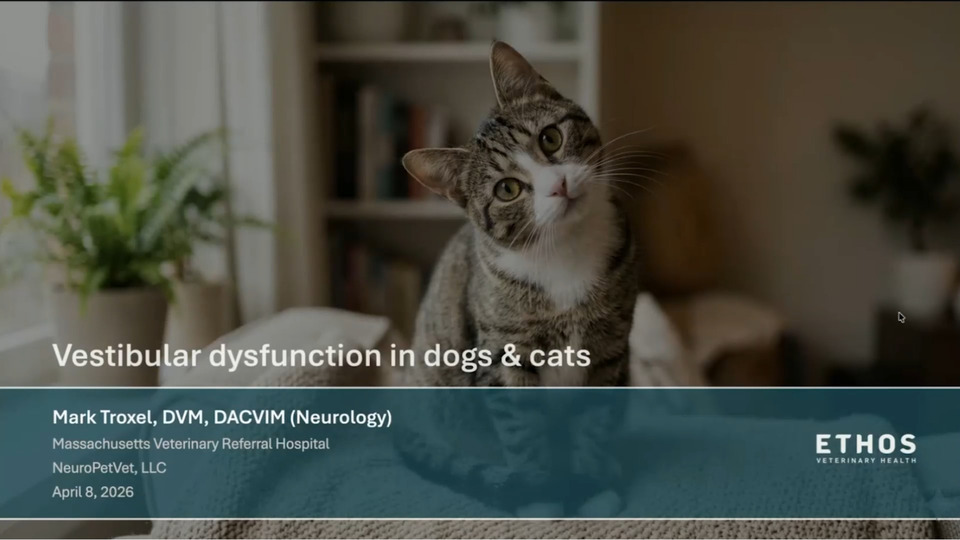 Vestibular Dysfunction in Dogs and Cats