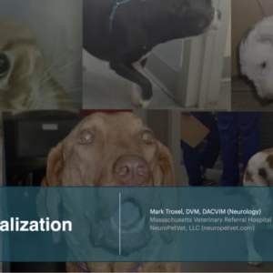 Neurolocalization in Dogs and Cats