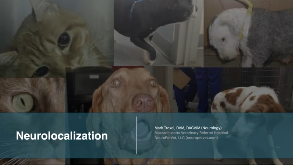Neurolocalization in Dogs and Cats