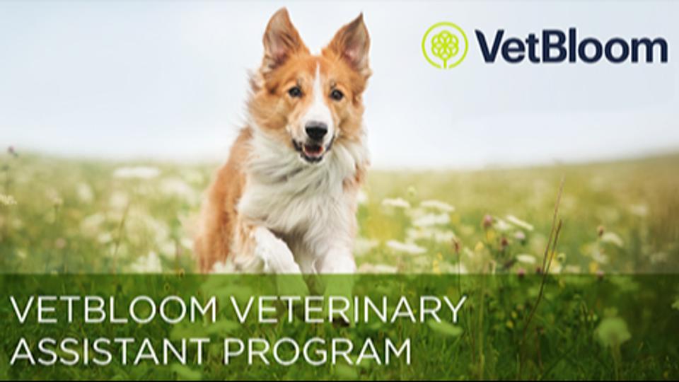 Veterinary Assistant Program 3.0